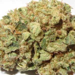 Buy Blueberry Kush Online